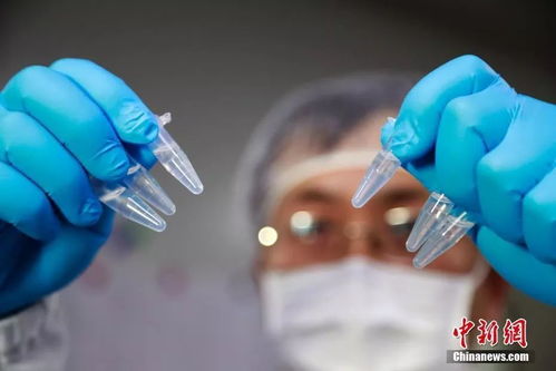 顯微鏡下的新型冠狀病毒 驚人繁衍與生物技術應對